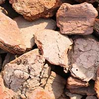 Pulmo Balance ingrediant